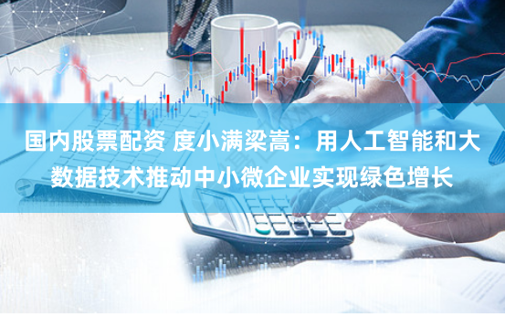 国内股票配资 度小满梁嵩：用人工智能和大数据技术推动中小微企业实现绿色增长