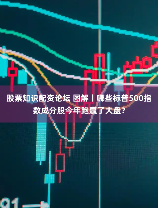 股票知识配资论坛 图解丨哪些标普500指数成分股今年跑赢了大盘？