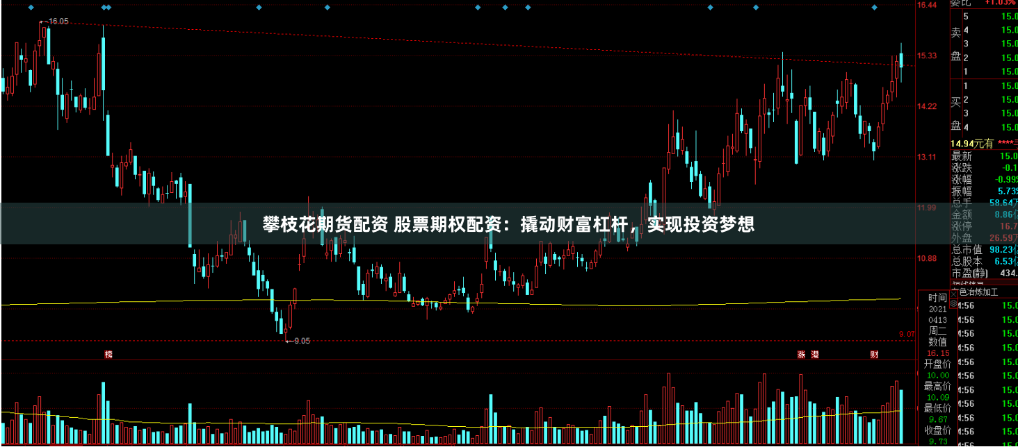 攀枝花期货配资 股票期权配资：撬动财富杠杆，实现投资梦想